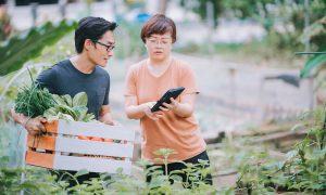 Tech could help BC farmers reach customers, mitigate climate change impacts