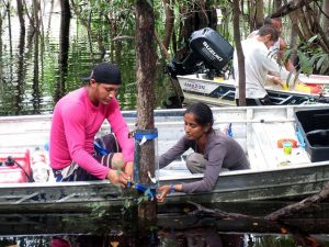 Amazon’s mysterious methane finally accounted for